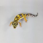 20181027_074340.jpg