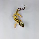 20181027_074429.jpg