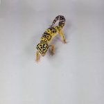20181027_075105.jpg