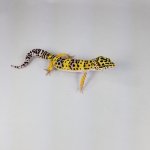 20181027_075036.jpg