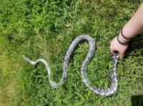 20180524_114533.jpg