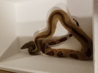 20181126_185729.jpg