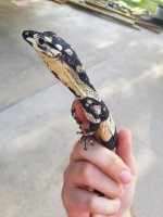 thumbnail (3).jpg