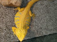 IMAG0895.jpg