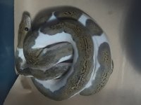 20181203_141635.jpg