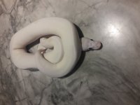 20180808_142627.jpg