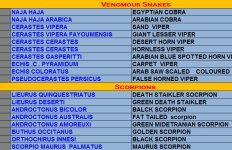 Venomous Snakes & Scorpions.jpg