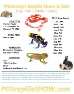 2019 show flyers.jpg