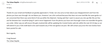 email8.png
