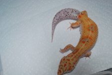 DSC_0124.jpg