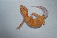 DSC_0125.jpg