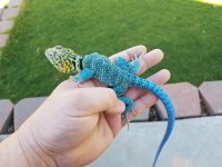 20170512_083535.jpg