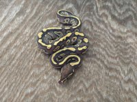 2018 female fire mystic enchi.jpg