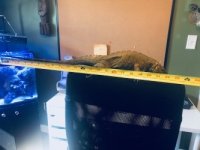 thumbnail_IMG_4318.jpg