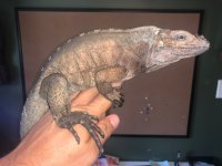 thumbnail_IMG_4324.jpg