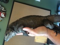 thumbnail_IMG_4340.jpg