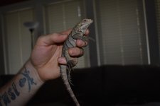 DSC_0059.jpg