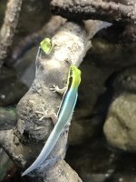 IMG_1110.jpg