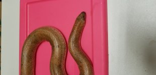 20181015_184059.jpg