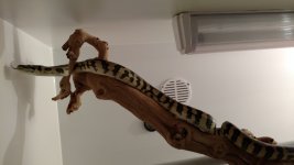 IMG_20190212_200144927.jpg