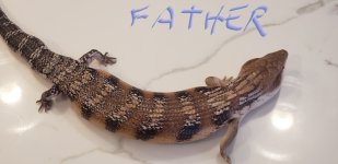Father 2.jpg