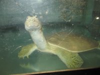 IMG_9751.JPG
