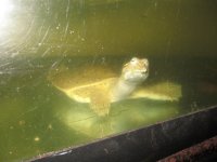IMG_9757.JPG