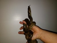 20181116_191415.jpg