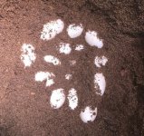20180830_202838.jpg