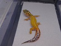 100_0278.jpg