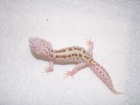 100_0018.jpg