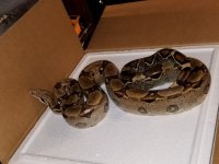 20181129_104559.jpg