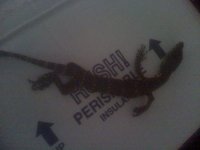 DEAD LIZARD.jpg