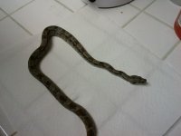 2011-01-19 21.07.56.jpg