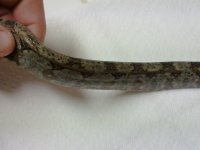 2011-01-19 21.08.19.jpg