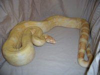 1-21-11 019.jpg