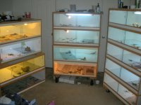 Picture 423.jpg