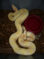 1-21-11 022.jpg