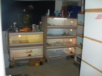 Picture 416.jpg