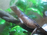 IMG_0924.jpg