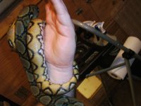 new pics 022.jpg