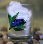 azureus drinking glass 1.jpg