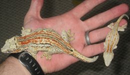 IMG_8834.jpg