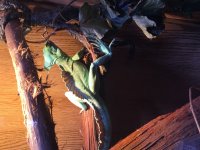 IMG_3996.jpg