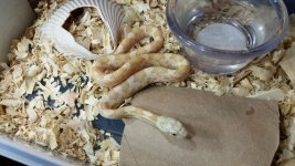 20180305_234124.jpg