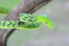 AirBrush_20190409192039.jpg