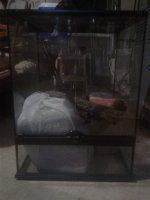 cage1.jpg