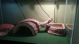 20180124_112723.jpg