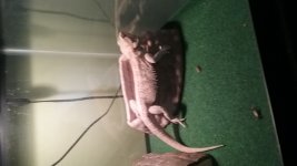 20180108_114924.jpg