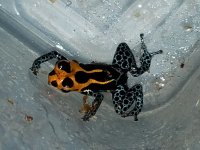 20181026_092601.jpg